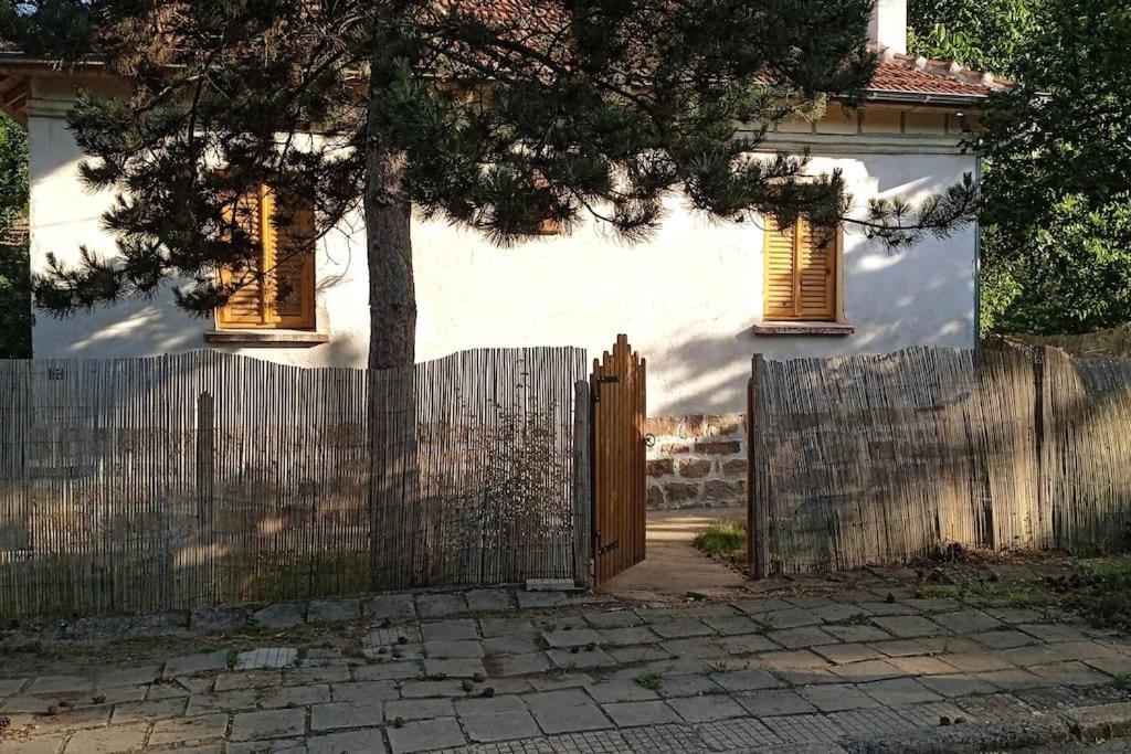 Ижата - Топлина И Уют Borovitsa Extérieur photo