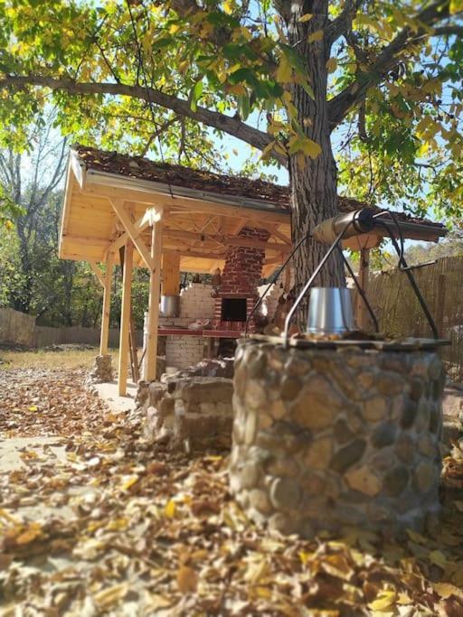 Ижата - Топлина И Уют Borovitsa Extérieur photo