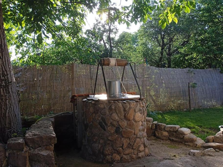 Ижата - Топлина И Уют Borovitsa Extérieur photo